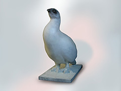 GROUSE