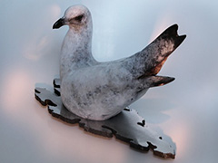 Seagull