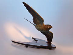 SWALLOW