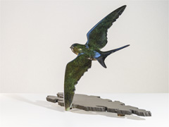 SWALLOW