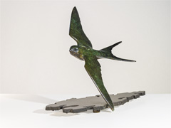 SWALLOW
