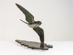 Swallow