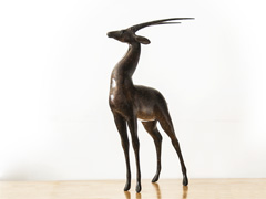Antelope