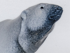 POLAR BEAR