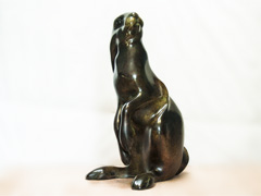 Hare