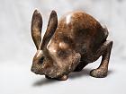 HARE