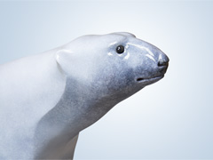 POLAR BEAR
