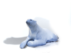 Polar Bear