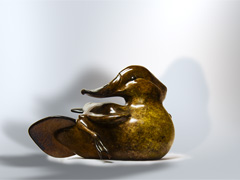 Shovelbill