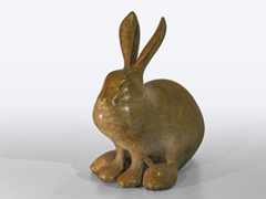 MOUNTAIN HARE  
