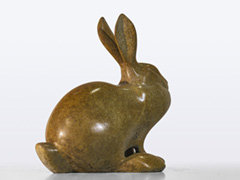 MOUNTAIN HARE  