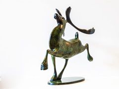 Reindeer