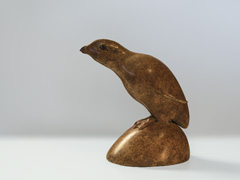 AUK