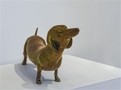Hot Dog - Dachshund 